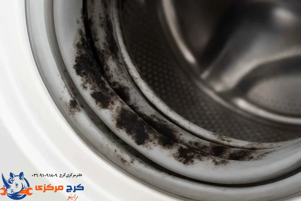 لاستیک کپک‌زده ماشین لباسشویی با کپک و لکه‌های سیاه