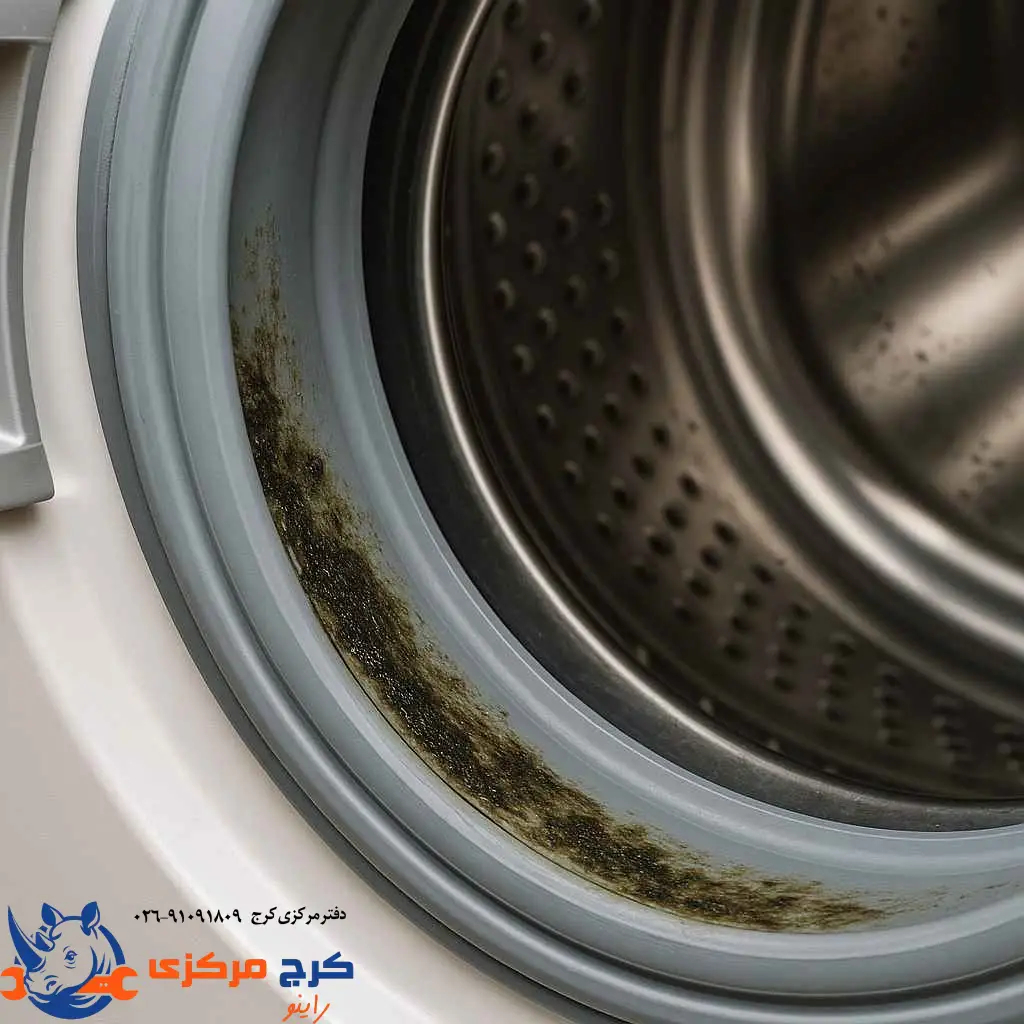 کپکزدگی لاستیک دور درب ماشین لباسشویی و علت بوی بد