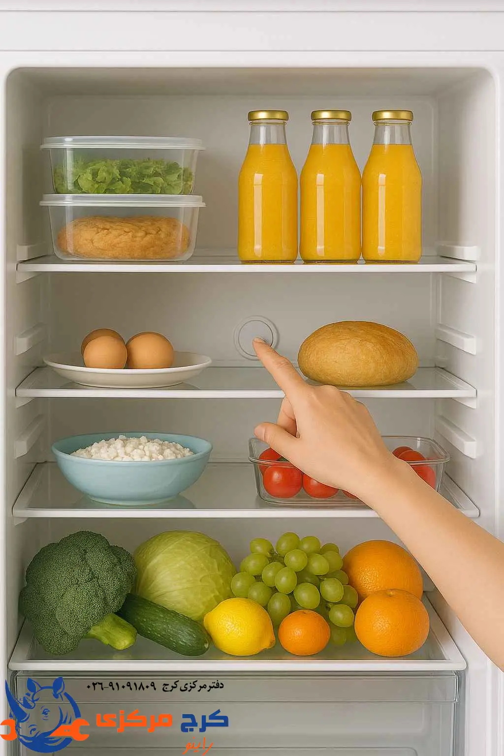 چیدمان مواد غذایی داخل یخچال