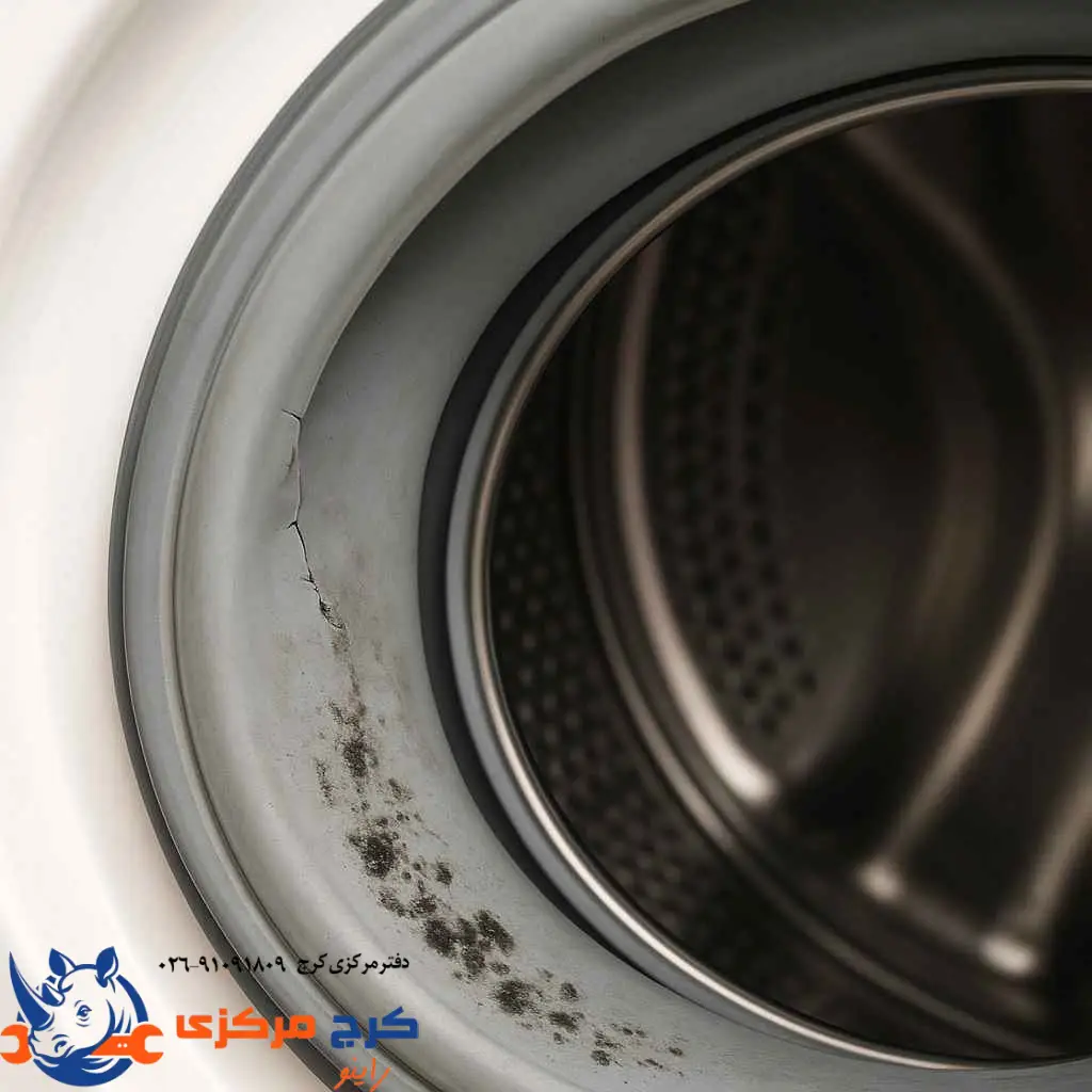 لاستیک ترک‌خورده و کپک‌زده ماشین لباسشویی